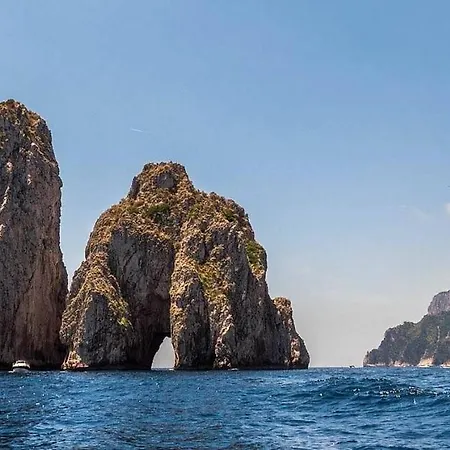 بوتيل Yacht